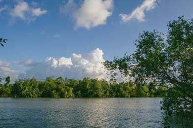 伊朗男篮在亚洲预赛中拼搏奋战，冲击奥运金牌梦想，伊朗男篮落选赛