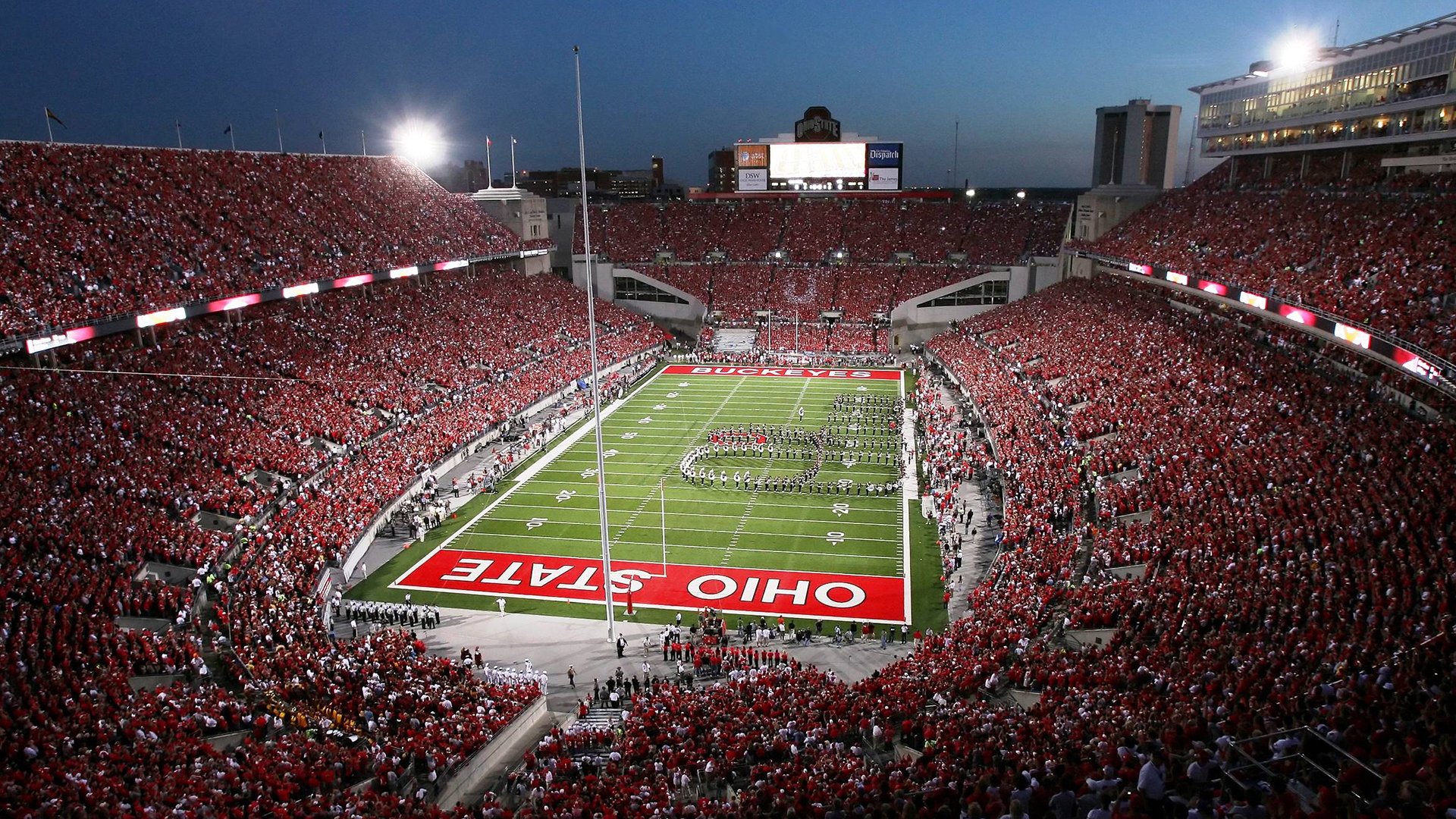 塔特发挥稳定，袋鼠队的中场核心始终如一，塔城袋鼠