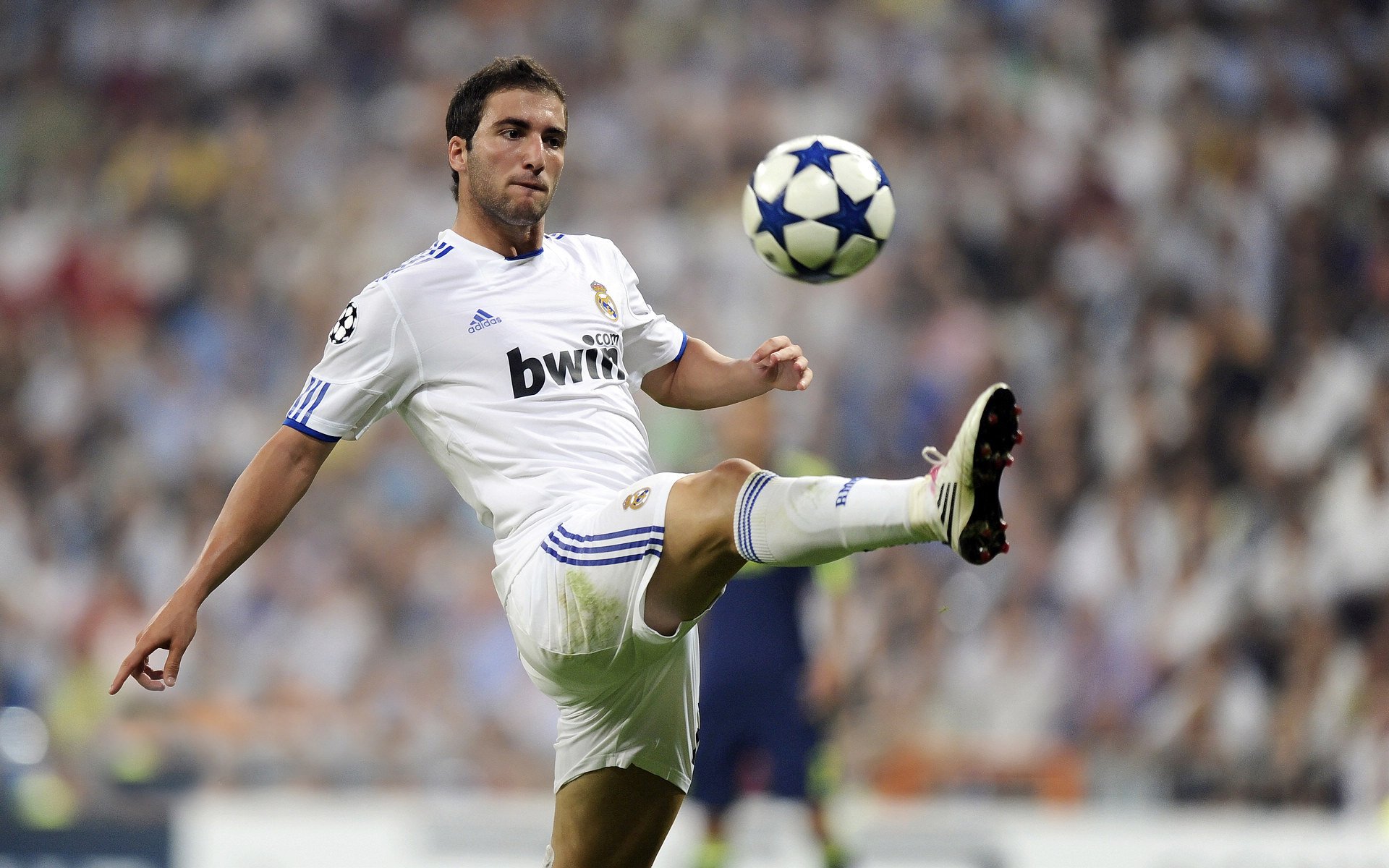 球员职业规划：未来足球运动员的多元路径，足球规划球员什么意思